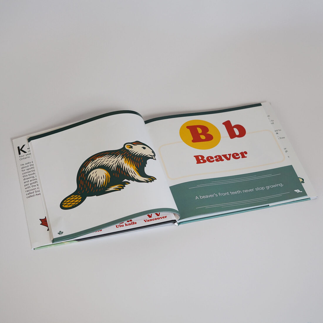 B is for Beaver — interior spread